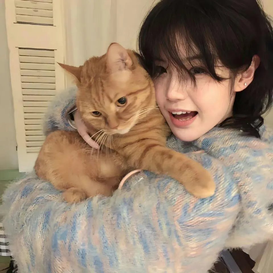 老鼠逗猫